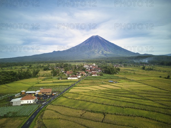 A breathtaking aerial view of Mount Semeru, the highest volcano on Java, and its surrounding vibrant green fields and rural landscape, under a clear sky