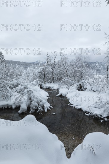 A dark creek flowing through snow covered forest on an overcast day