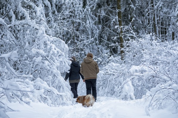 Two woman taking a walk with a dog through a snowy forest, winter, snow, Sieversen, Samtgemeinde Rosengarten, Lower Saxony, Germany