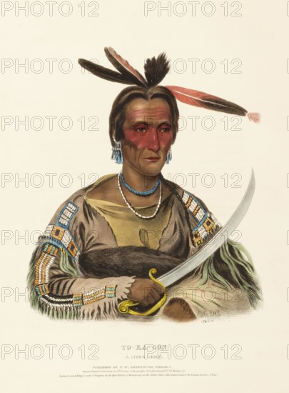 To-Ka-Con. A Sioux Chief (1838), Indians, Historical Indian tribes from North America, Charles Bird King (1785, 1862), Historical, digitally restored reproduction from a 19th century original, Record date not stated
