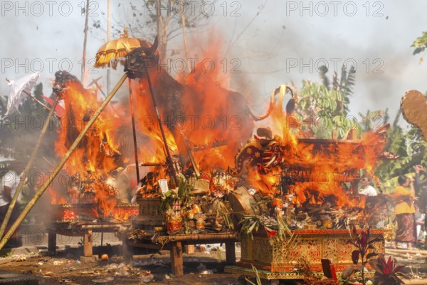 Wadah, the sacred magnificent animal, is the transport vehicle to transport the soul of the deceased to the spirit realm, Ngabe ceremony, Ubud, Bali, Indonesia