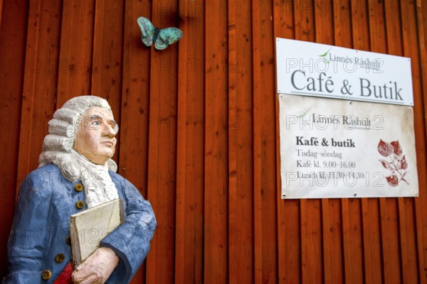 Wooden statue of botanist and founder of the binary nomenclature Carl von Linné with white hair and blue jacket in front of a wooden wall, Linnés Råshult, Älmhult, Kronobergs län, Småland, Sweden