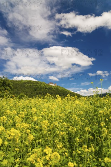 Weitenburg Castle, romantic hotel, historic building, residential castle in various architectural styles, Renaissance, Baroque, Neo-Gothic, cloudy atmosphere, rape field in bloom, Starzach, Neckar Valley, Baden-Württemberg, Germany
