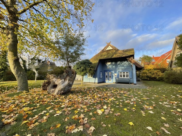 Galerie Kunstkaten, Künstlerdorf und Baltic resort Ahrenshoop, architecture, tradition, houses with thatched roofs, reed thatched roofs, Darss-Zingster Bodden chain, Baltic Sea, peninsula, nature, autumn, nature reserve, Fischland-Darss-Zingst, Mecklenburg-Western Pomerania, Germany