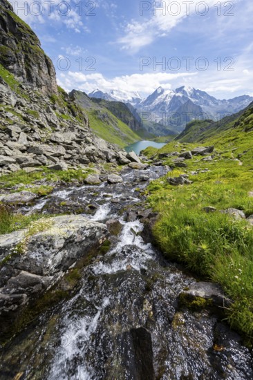 Mountain stream in picturesque mountain landscape, view of mountain lake Lac du Louvie and glaciated mountain peaks of the Grand Combine, Valais Alps, Val de Bagnes, Valais, Switzerland