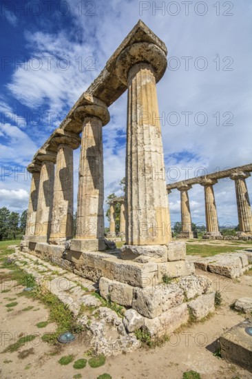 Columns of the Doric Temple of Hera, archaeological site site of Metaponto, Bernalda, Basilicata region, Italy, Southern Europe