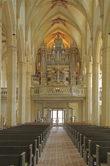 View of the organ of the Gothic Predigerkirche, interior view, gallery, Erfurt, Thuringia, Germany