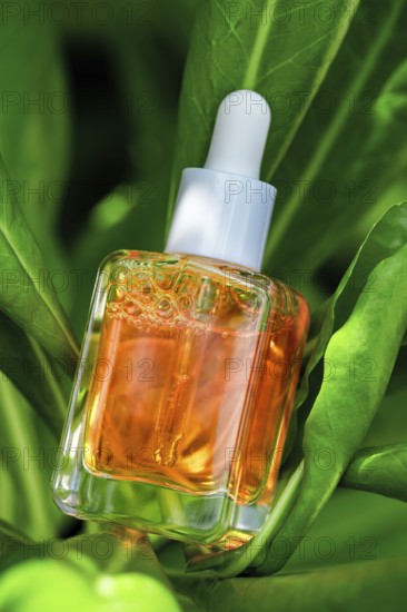 A beautifully presented bottle of Vitamin C serum is surrounded by vibrant green leaves, emphasizing natural beauty and skincare