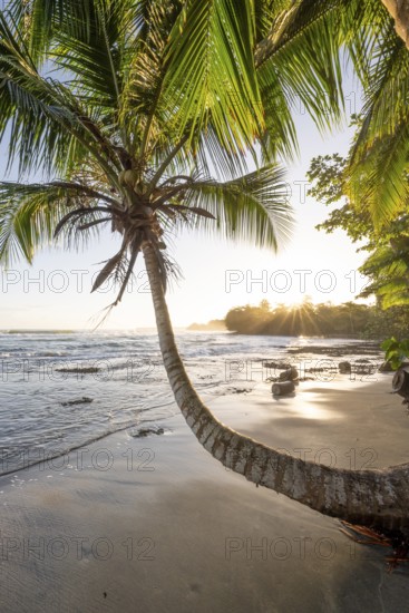 Sea and Caribbean sandy beach with palm trees at sunrise, sun star, Caribbean coast, Playa Negra, Cahuita, Limón province, Costa Rica