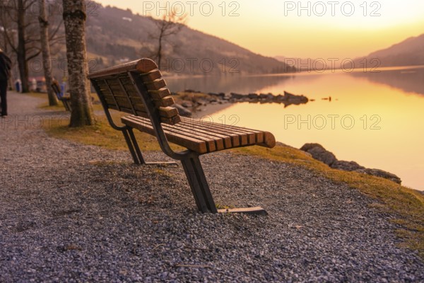 An empty wooden bench on the lakeside at sunset on a gravel path, Großer Alpsee, Immenstadt im Allgäu, Bavaria, Germany