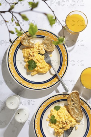 Two plates of creamy scrambled eggs with toast, garnished with herbs, served alongside glasses of fresh orange juice. A perfect, bright morning setup