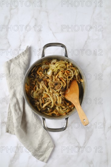 Overhead view of brazier with chopped champignon, chanterelles, oyster mushrooms and onion