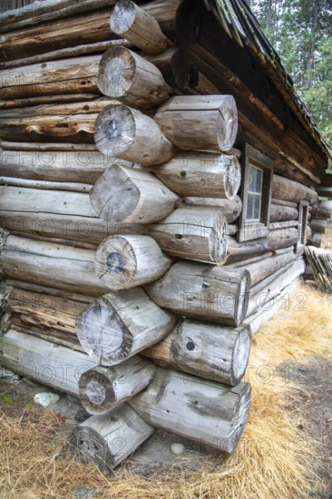 Yosemite National Park, California - The Pioneer Yosemite History Center at Wawona in Yosemite National Park. The Center has historic buildings that were transferred here from around the Park in the 1950s and 1960s