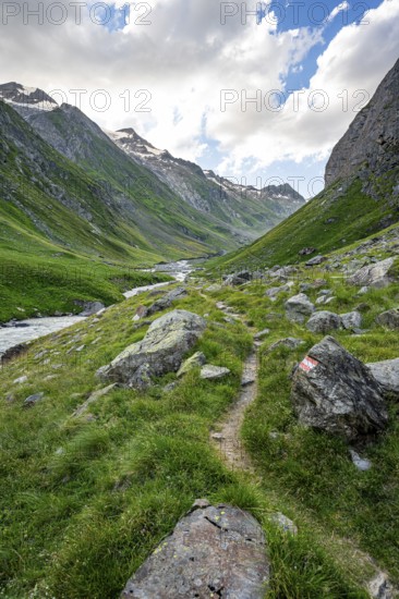 Hiking trail in the Umbaltal valley with Isel mountain stream, glaciated mountain peaks behind, Venediger Group, Hohe Tauern National Park, East Tyrol, Tyrol, Austria