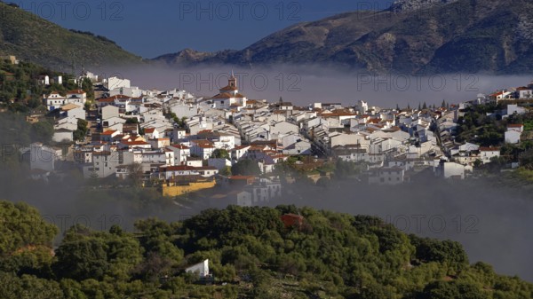 Spain - Andalusia - White Villages - Gaucin