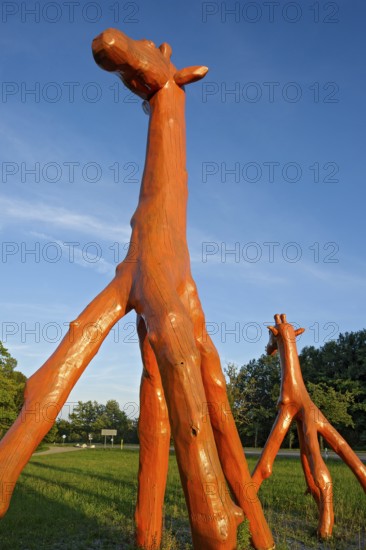 Giraffes made of red painted tree trunks, wooden sculpture by Günter Schumann, Museum of the Imagination by Lothar-Günther Buchheim, Bernried am Starnberger See, Upper Bavaria, Bavaria, Germany