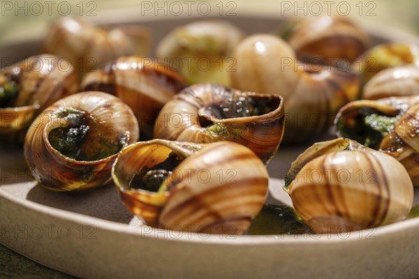 A close-up view of baked escargot in shells, garnished with melted butter and parsley, presented in a ceramic dish