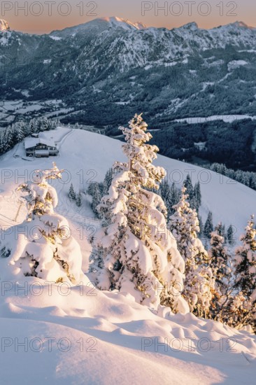Snow-covered windscape in the Alps at Neunerköpfle in the Tannheimer Tal in Tyrol, Austria