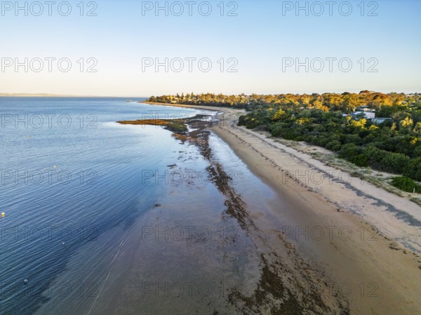 Aerial view of a serene beach at low tide with a lush green coastline in the Great Ocean Road, Australia. The calm waters meet the sandy shore as the sun sets, creating a peaceful coastal landscape