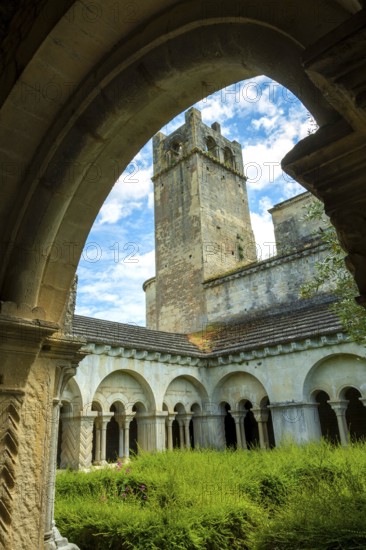 Vaison-la-Romaine. Cloister of Notre-Dame de Nazareth cathedral. Vaucluse. Provence-Alpes-Côte d'Azur. France