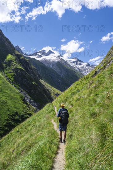 Mountaineers on a hiking trail in Umbaltal, glaciated mountain peaks in the background, Venediger Group, Hohe Tauern National Park, East Tyrol, Tyrol, Austria