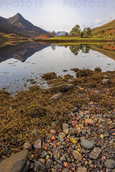 Mountains reflected in fjord, stones, midday light, sunny, still, coast, sea, autumn, autumn colours, Loch Leven, Scotland, Great Britain
