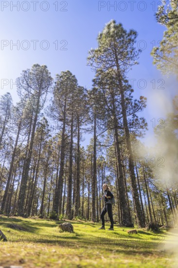 Woman walking through a lush pine forest, surrounded by towering trees and basking in sunlight. The image captures a moment of activity and nature