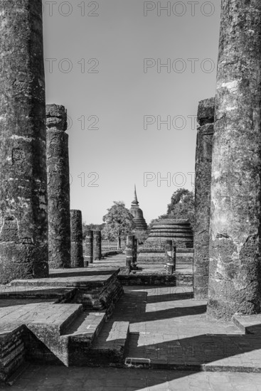 Historic Buddhist temple complex Wat Mahathat, historical park, black and white photo, Sukhothai, Sukhothai Province, Thailand