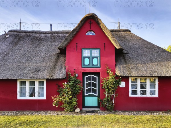 Uthlandfriesian house, typical, small thatched house with Zerchgiebel also called Friesenhaus, Oldsum, Foehr, Nordfriesland, Schleswig-Holstein, Germany