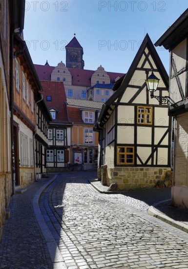 Half-timbered houses in Finkenherd with Schlossberg, alley in the old town centre of the World Heritage town of Quedlinburg, Saxony-Anhalt, Germany