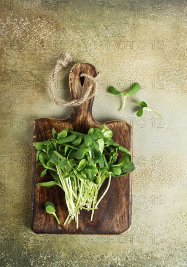 Sunflower micrograin, on a wooden chopping board, no people
