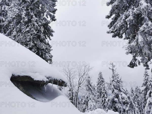 Winter landscape with snow-covered trees, large rocks and grey skies in natural surroundings, hiking in the Fichtelgebirge nature park Park