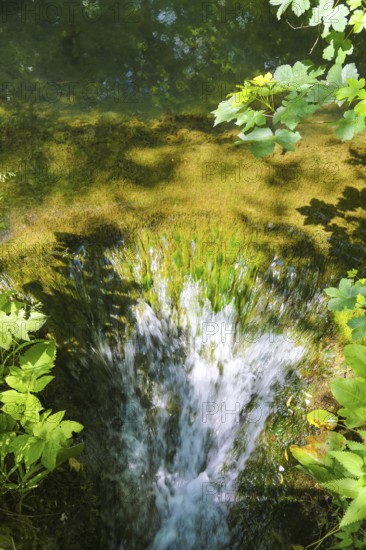 Small waterfall at the Gönningen lakes, calcareous tufa nature trail, idyll, nature, at the foot of the Swabian Alb, Gönningen near Reutlingen, Wiesaztal, Baden-Württemberg, Germany