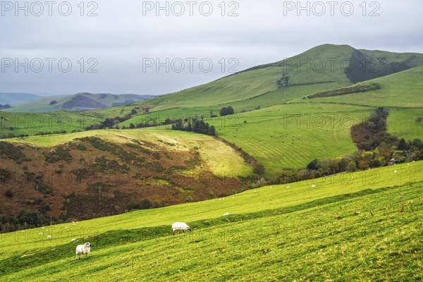Autumn colors over Farms and Fields, Wales, UK