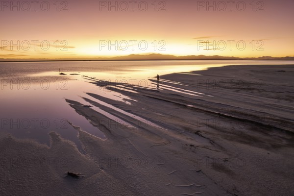 A solo traveler at a mesmerizing sunset in Salinas Grandes, Salta, Argentina, where the vast salt flats meet a golden horizon, creating stunning reflections and a tranquil atmosphere