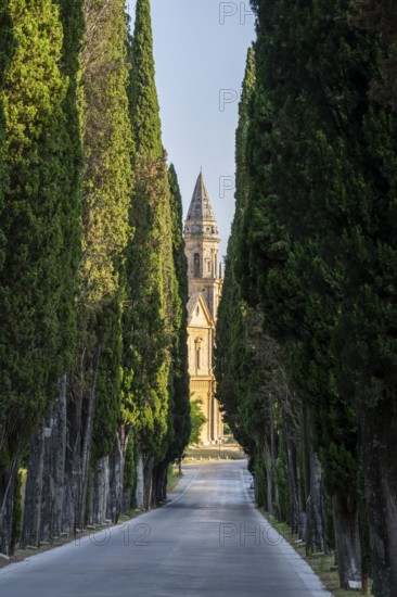 Road going through cypress trees to San Biagio Renaissance Church in autumn, architect Antonio da Sangallo, Montepulciano, Tuscany, Italy
