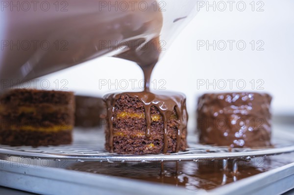 A cake is decorated with chocolate coating on a grid, Vegan Tartchen Production, Haselstaller Hof, Gechingen, Germany