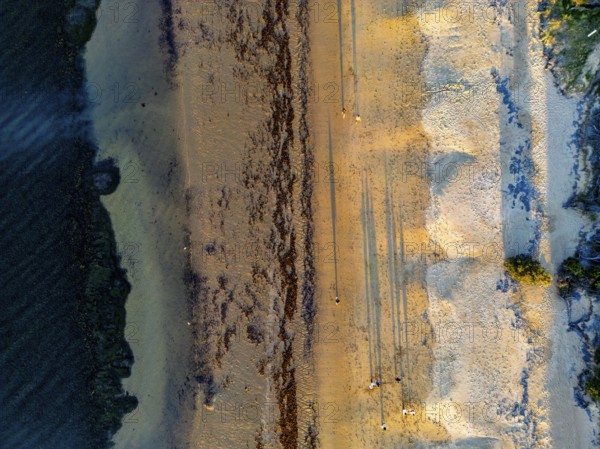 Aerial shot of a sandy beach during sunset, casting long shadows across the sand in the Great Ocean Road, Australia. The ocean edge meets the shore with gentle waves, creating a tranquil seascape