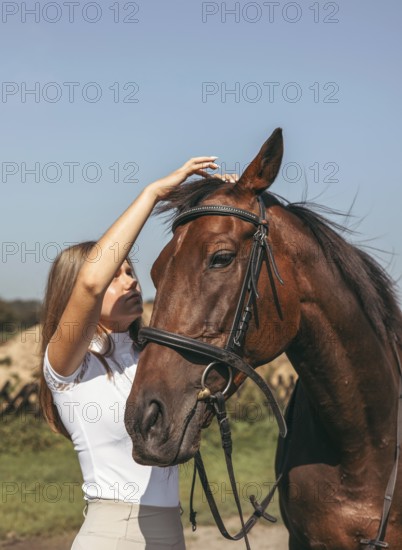 A young girl gently interacts with a brown horse in a sunny outdoor setting. The horse wears a bridle, and the girl is adjusting it calmly, showcasing companionship