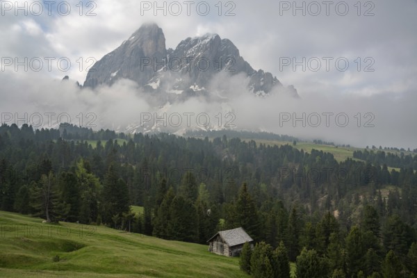 A small wooden hut stands in the green meadows of Alpe di Siusi, with towering Dolomite peaks shrouded in mist and clouds in the background. A serene and picturesque mountain landscape