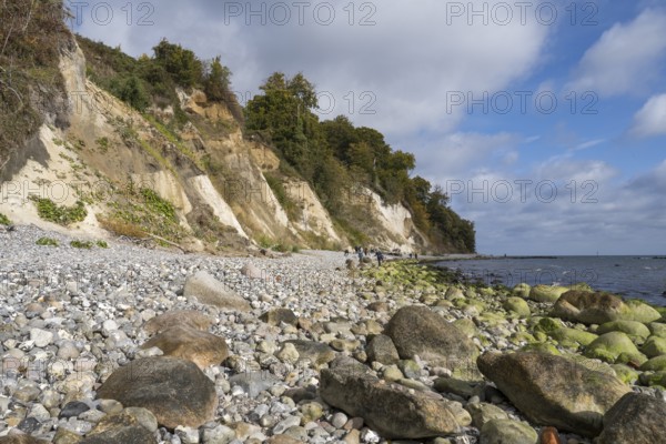 Chalk coast, cliffs, stones on the shore, Jasmund National Park, Sassnitz, Rügen, island, Baltic Sea, Mecklenburg-Western Pomerania, Germany
