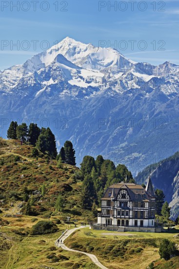 Pro Natura Centre Villa Cassel, snow-covered Alps in the background, Unesco World Heritage Site Aletsch Glacier, Riederfurka, Canton Valais, Switzerland