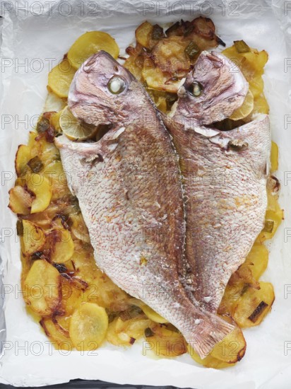 Whole backed red snapper fish with roasted potatoes, just from the oven, ready to eat