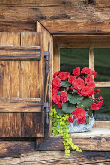 The Ladiz-Alm, the high alpine pasture of the Eng-Alm, window of the alpine hut, Ladiz-Alm, Karwendel Mountains, Tyrol, Austria