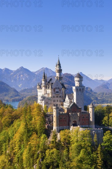Neuschwanstein Castle surrounded by autumnal forests and mountains in the background, Schwangau, Ostallgäu, Allgäu, Swabia, Upper Bavaria, Bavaria, Germany