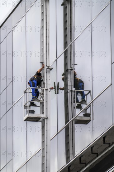 Window cleaner, facade cleaning, window cleaning, on a glass facade in Düsseldorf, ladder cage from the roof