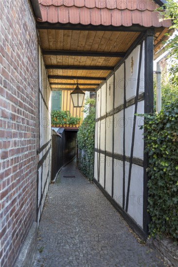 Historic Rosengasse, Rosmaringasse or Demutsgasse between the Oberpfarrkirchhof and the city wall at the Westerntor, old town of Wernigerode, Saxony-Anhalt, Germany