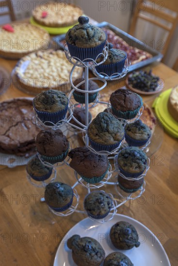 Blueberry muffins on a cake buffet, Lower Saxony, Germany
