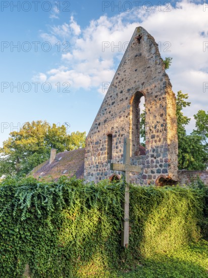 Monastery ruins in the evening light, Lindow (Mark), Brandenburg, Germany