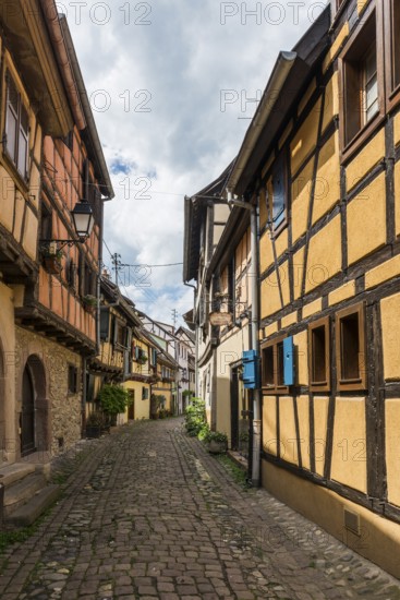 Medieval village and colourful half-timbered houses, Eguisheim, Plus beaux villages de France, Haut-Rhin, Alsace, Alsace, France